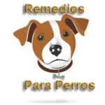 remedios caseros para perro android application logo